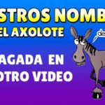 Nombres creativos y únicos para ajolotes como mascotas exóticas