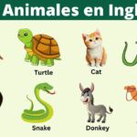 Aprende Nombres de Animales en Inglés y Español