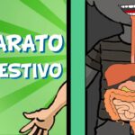 Aprende sobre el Sistema Digestivo: ¡Coloreando para Entender Mejor!