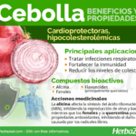 Descubre el Nombre Científico de la Cebollas Moradas y sus Características