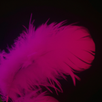 Descubre el Significado del Nombre Paula: Un Viaje a Través de la Historia y la Cultura