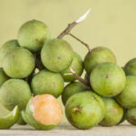 Descubre las Deliciosas Frutas Exóticas de México