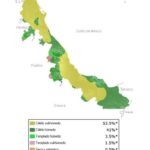 Explora Veracruz: Un Mapa de sus Municipios con Nombres