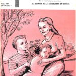 La tierna imagen de la mama gallina con sus pollitos: un símbolo de protección y cuidado maternal