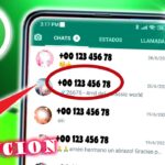 ¿Por Qué Algunos Contactos de WhatsApp Aparecen Sin Nombre?