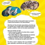 Descubriendo Datos Curiosos Sobre los Niños: Un Viaje al Mundo Infantil
