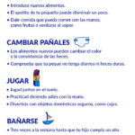 Guía Completa: El Desarrollo y Hábitos de un Bebé de 9 Meses y Más