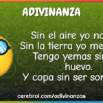 La Adivinanza: Sin el Aire, Yo No Vivo